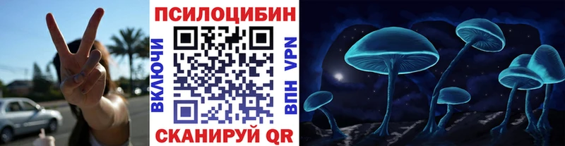 где найти   Моршанск  Псилоцибиновые грибы прущие грибы 